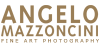 Fotografo matrimonio Bologna - Angelo Mazzoncini
